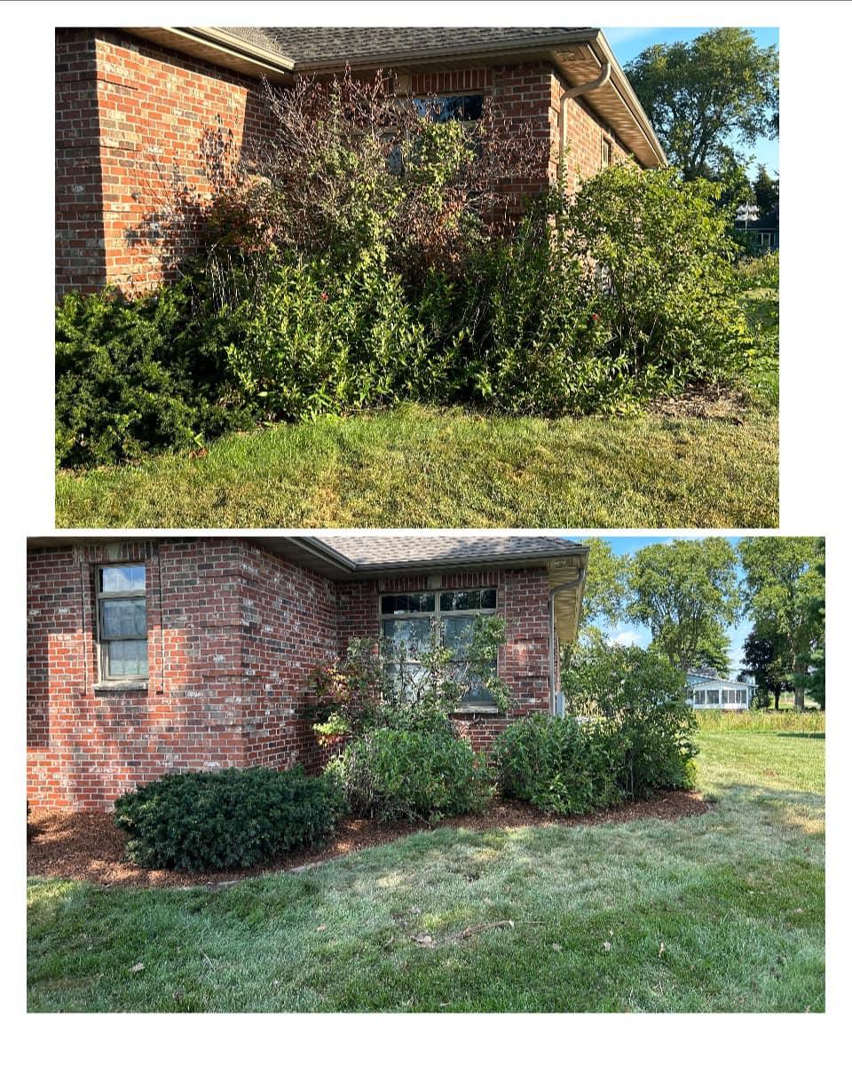 Hedge Trimming