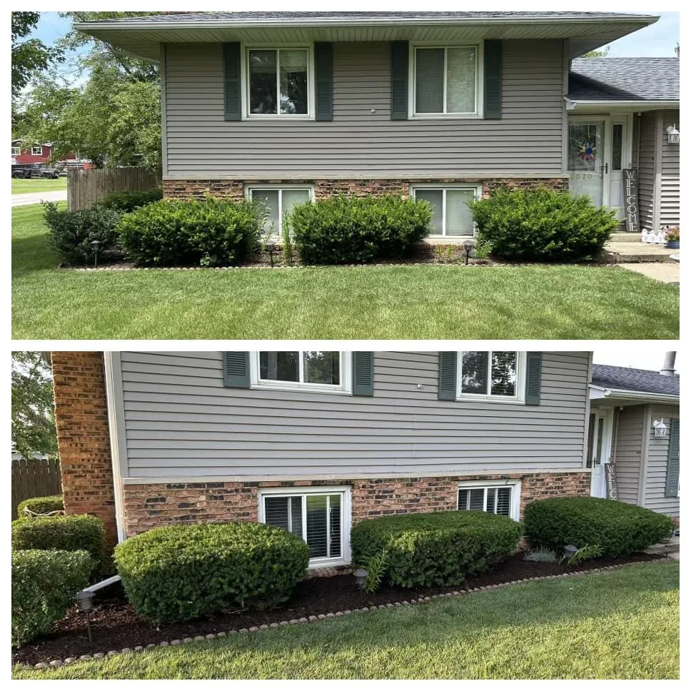 Hedge Trimming
