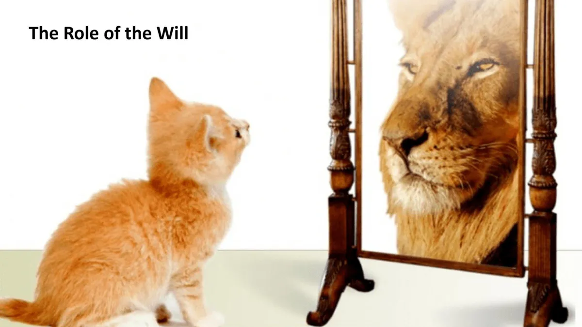 Harnessing Willpower