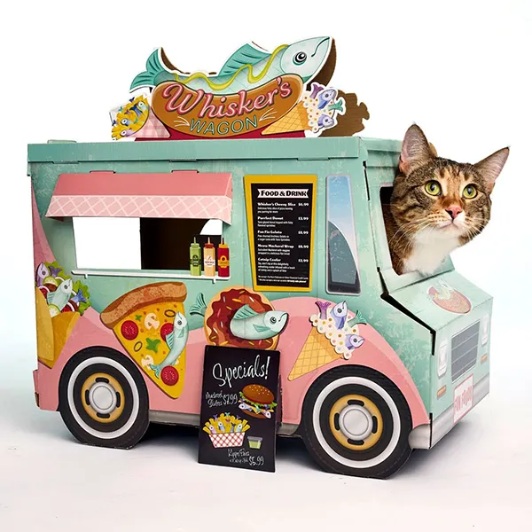 Snookums’ Purrfessional Photoshoot!
