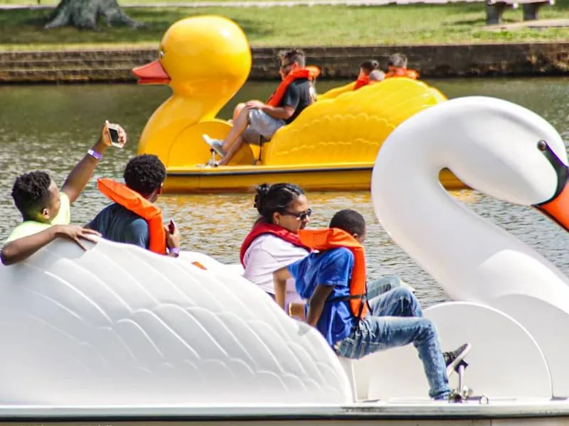Allen Pond Paddle Boats