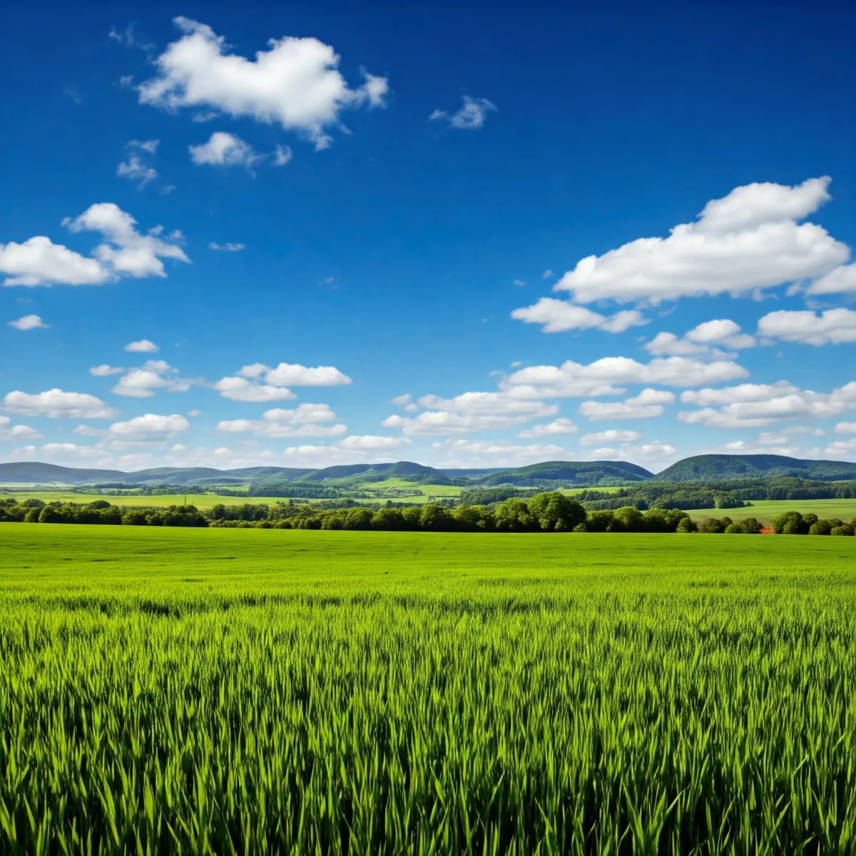 Sell land fast in Carter County, TN with fair cash offers and hassle-free transactions at Landforcashmoney