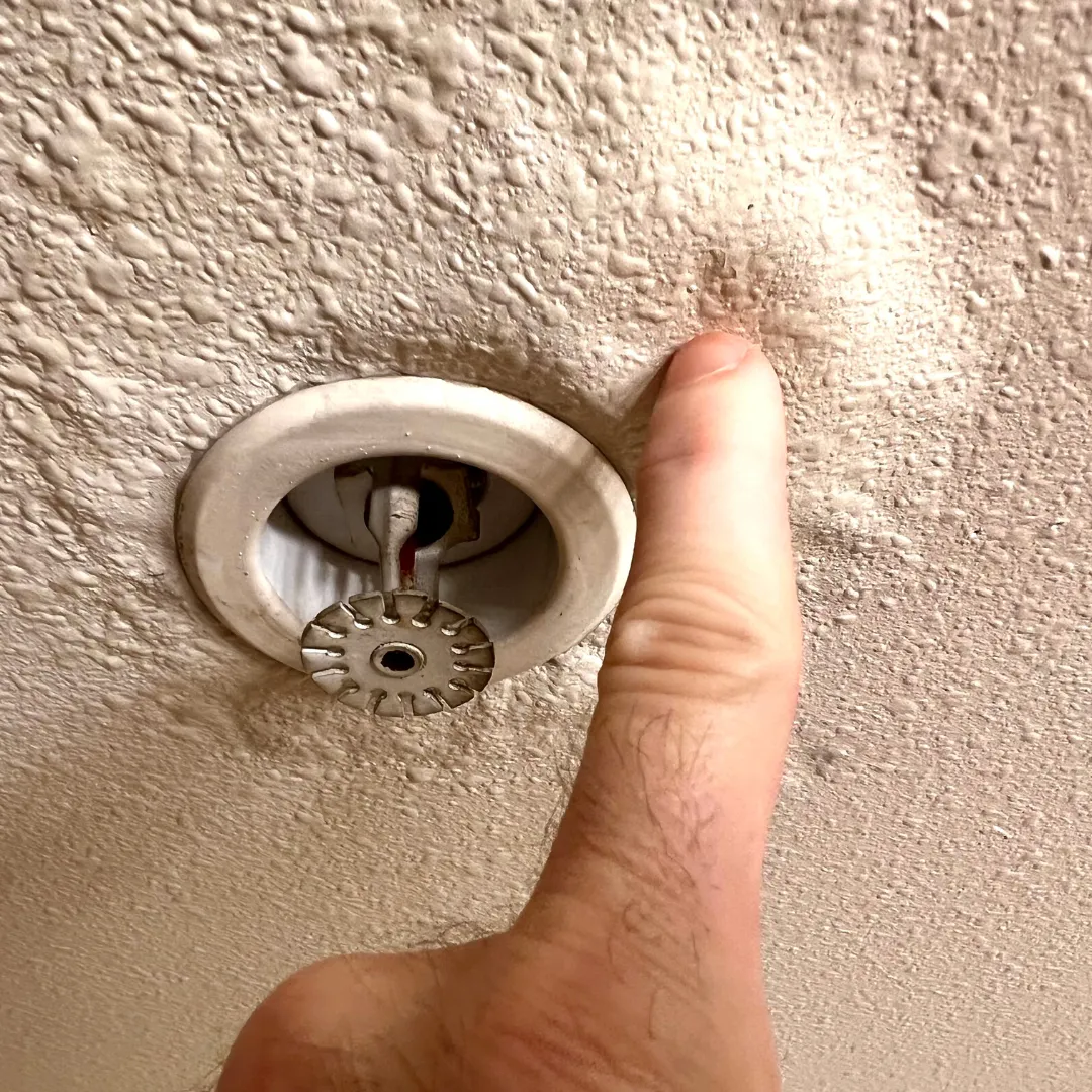 Guarding Your Home: How to Detect Water Leaks - Signs and Solutions by All American Plumbing