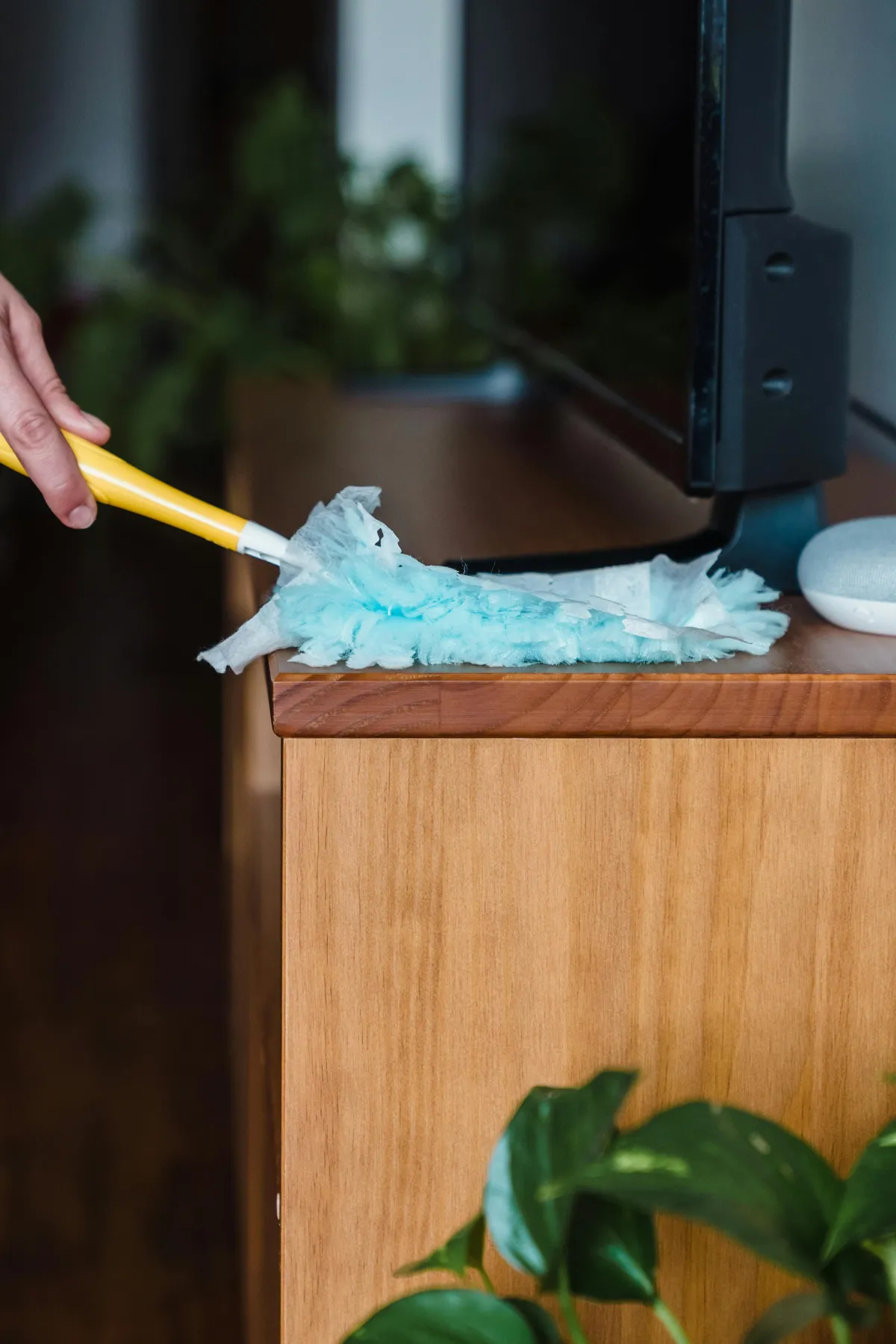 Can Regular Dusting Help Improve Seasonal Allergies?