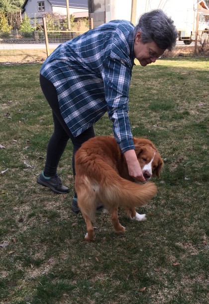Person luring a dog into a spin