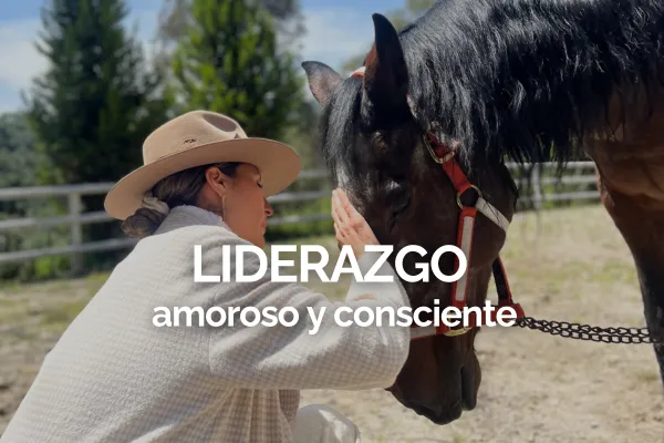Estás a un abrazo de la vida que deseas