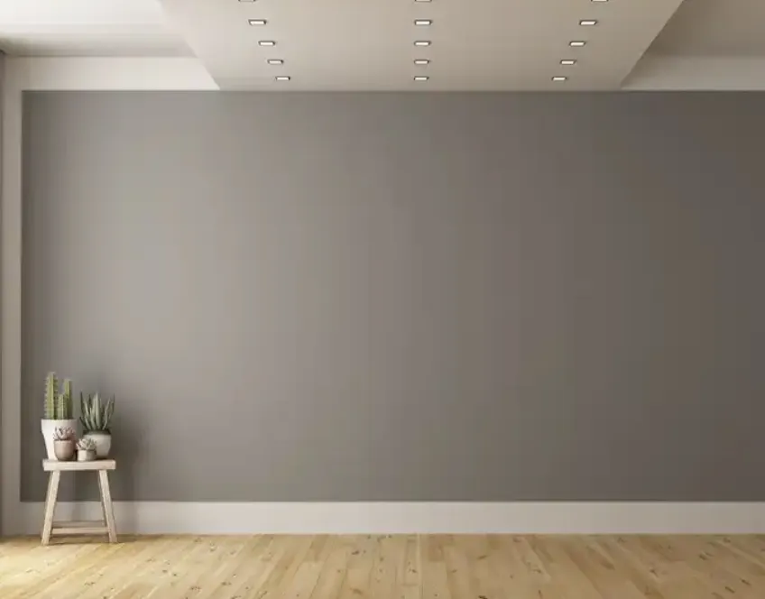 house painter in living room