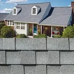 Fox Hollow Gray