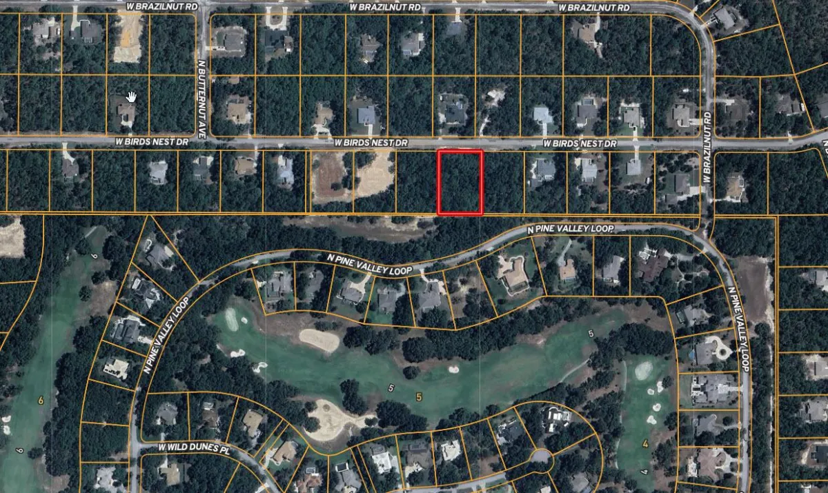 Here is a great 1.03 acre lot we just picked up in the Pine Ridge area of Citrus County Florida.