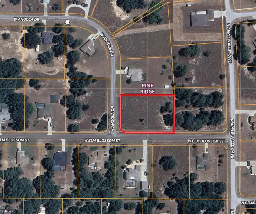 Another great lot purchased in the Pine Ridge community of Citrus County. You can expect to see a beautiful luxury home built here in 2025!