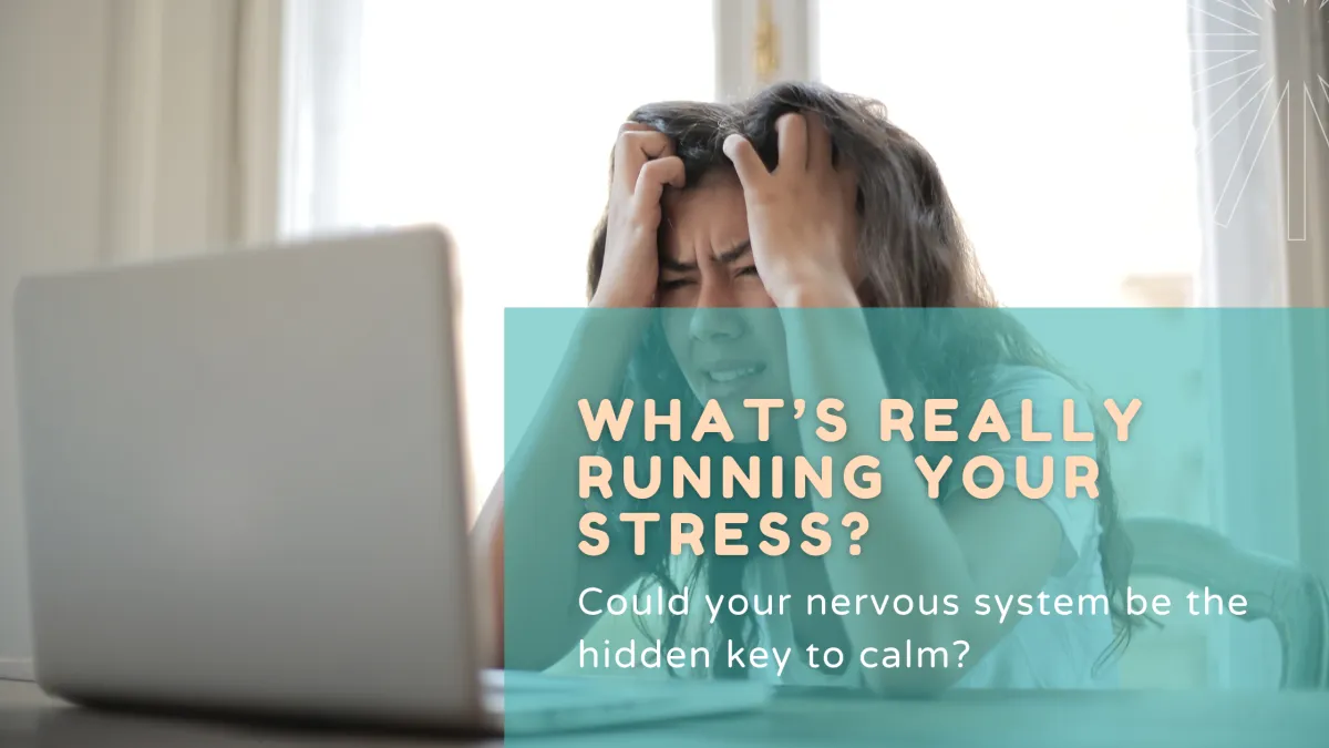 What Controls Your Calm? Discover How Your Nervous System Works