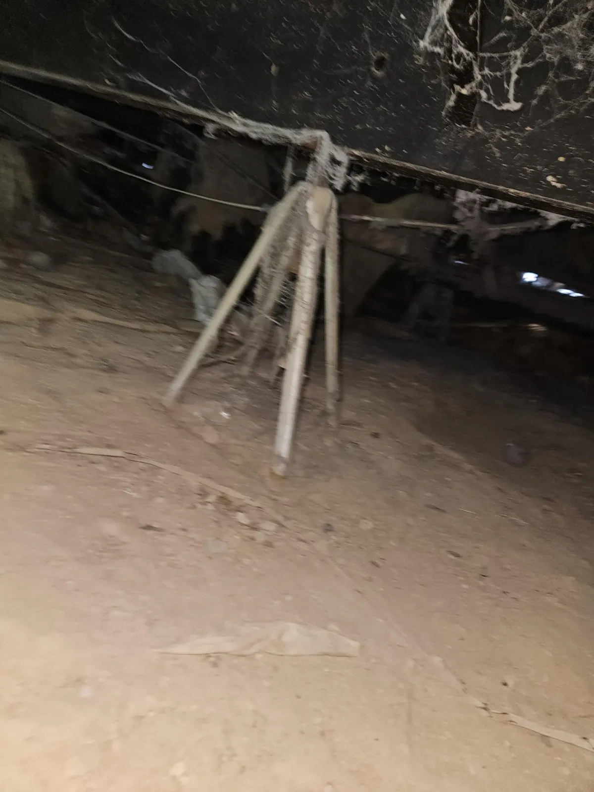 5 Signs Your Mobile Home Needs a Crawl Space Inspection