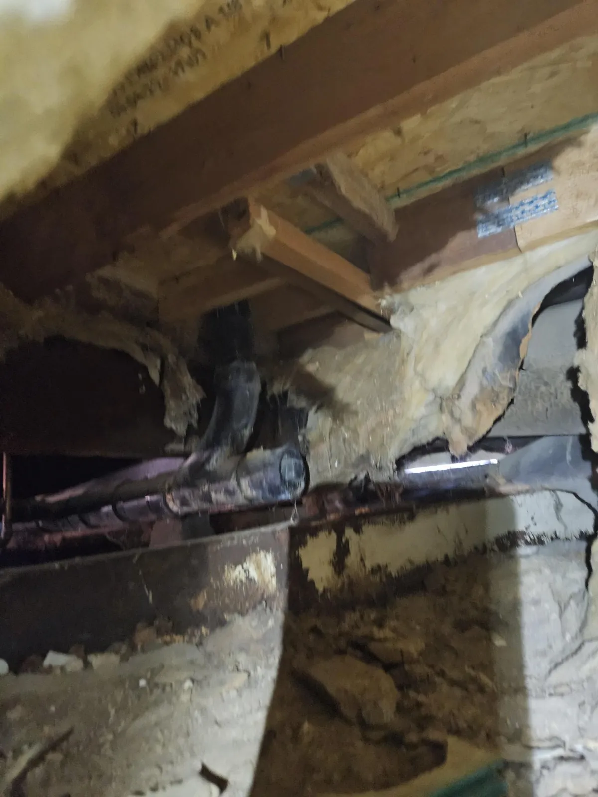 Why Regular Crawl Space Inspections Are Essential for Mobile Homes