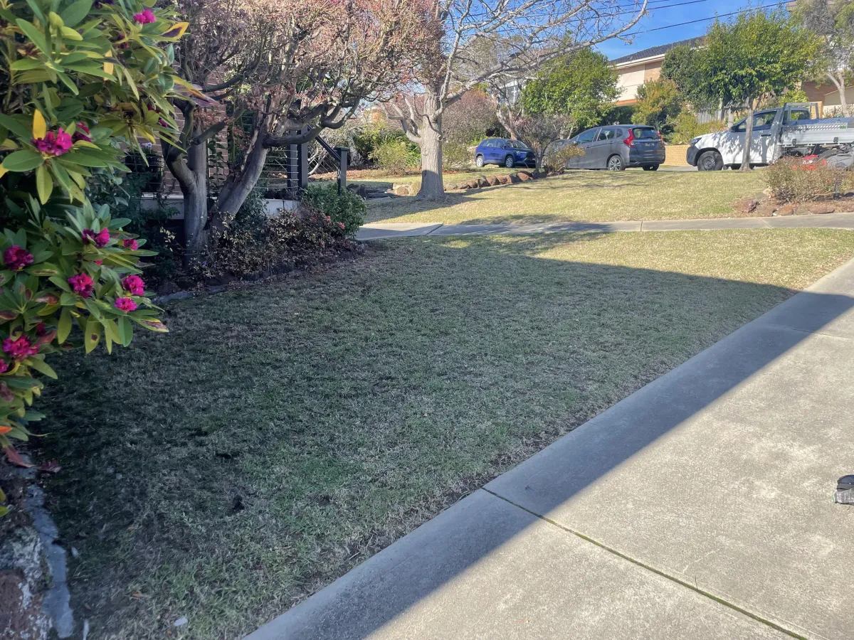 neat finished lawn Balwyn front yard after mowing