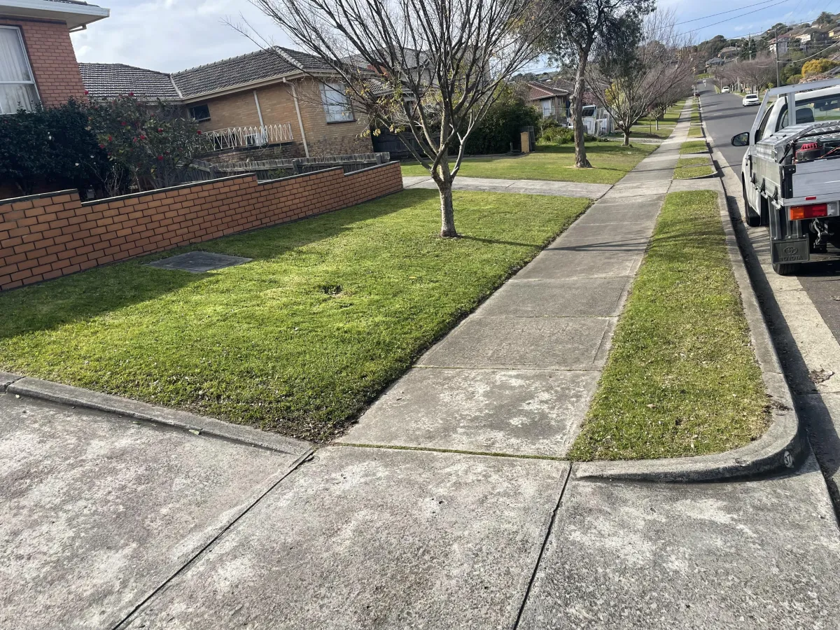 even green lawn backyard Balwyn post mowing