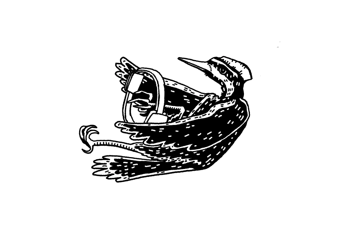 A drawing of a Pileated Woodpecker doing pilates with a pilates ring.