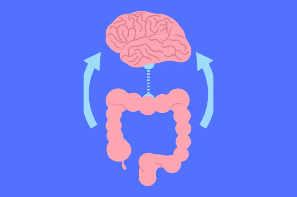 The Gut-Brain Connection: What Every Parent Raising a Neurodivergent Child Should Know

