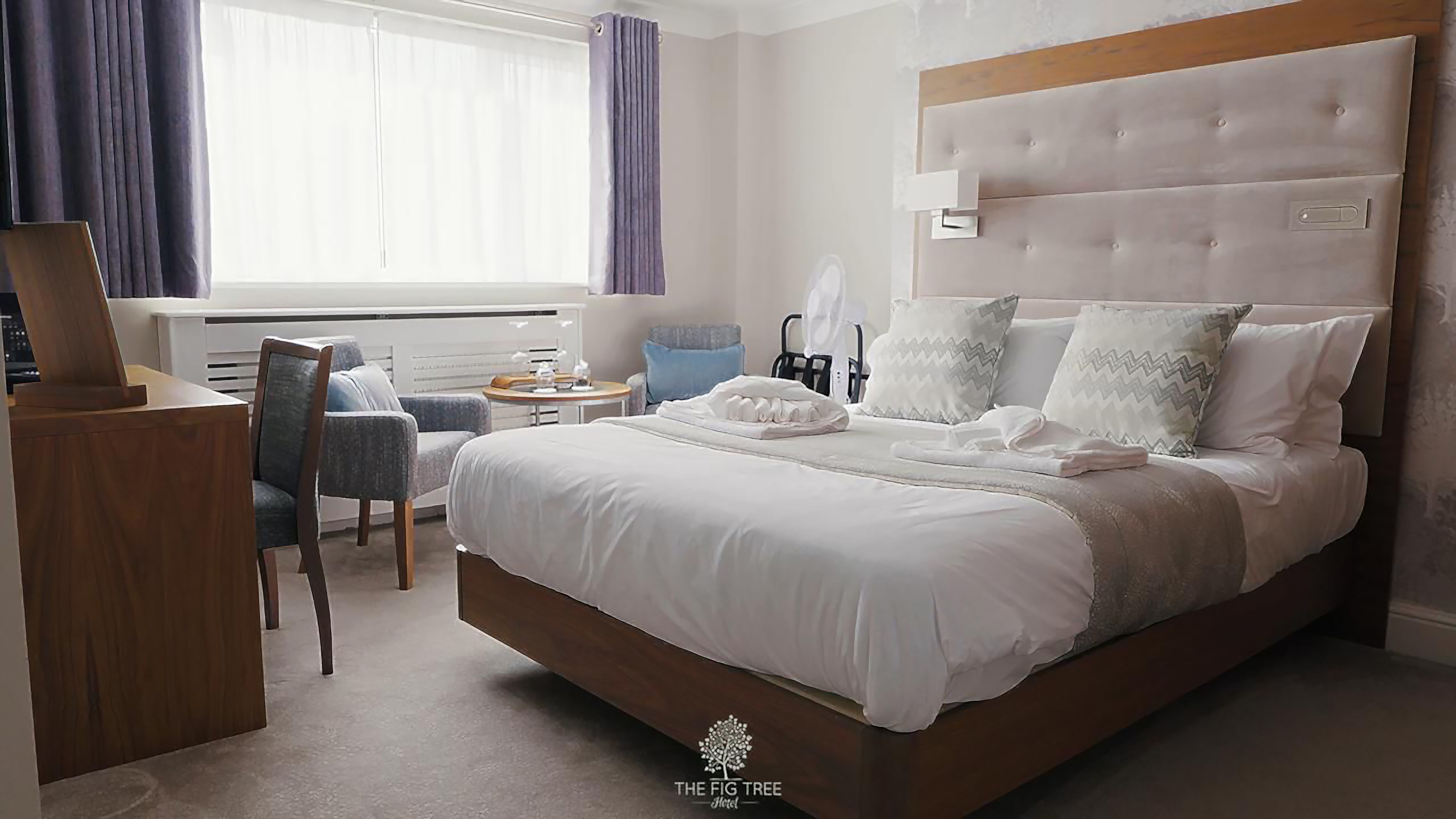 Five Breathtaking Walks Near Shanklin You’ll Fall in Love With