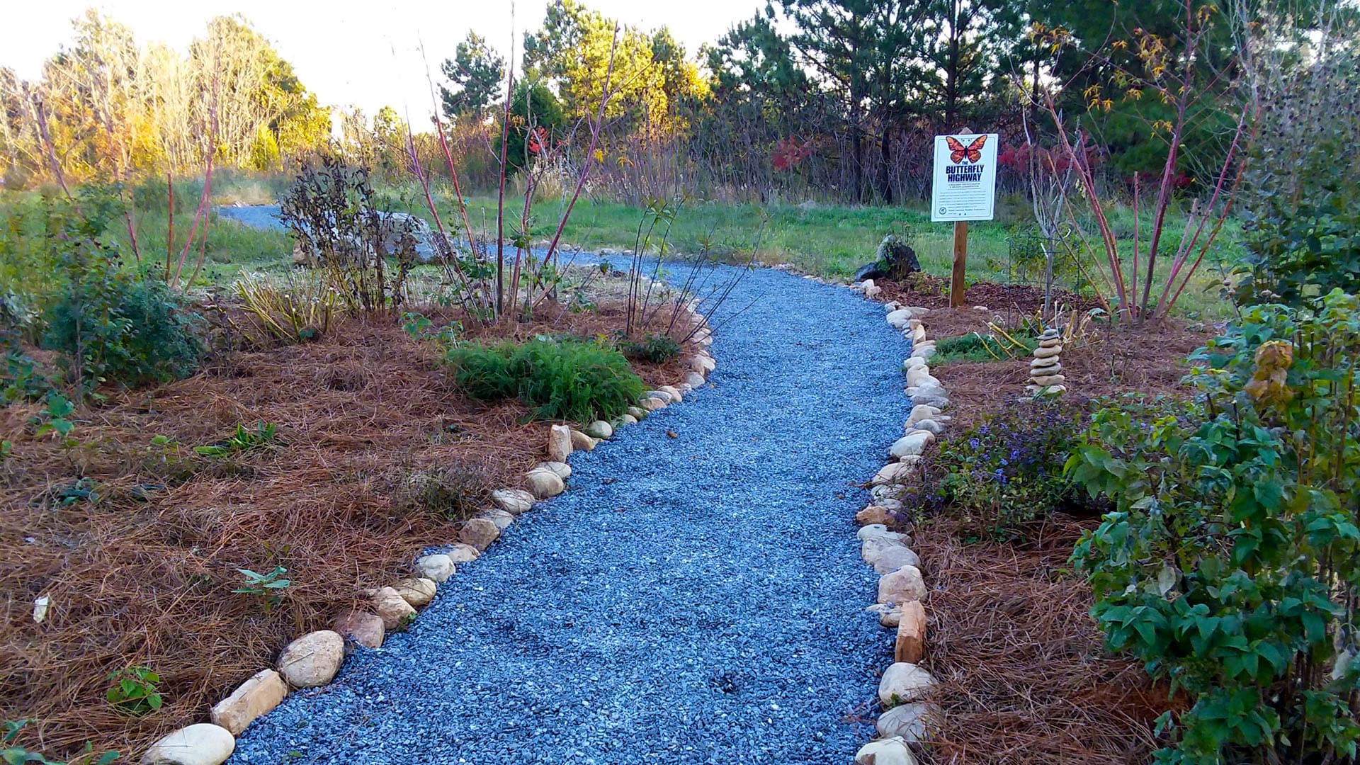 Growing Together at Kings Mountain Community Garden – Where Nature, Neighbors, and Nourishment Thrive