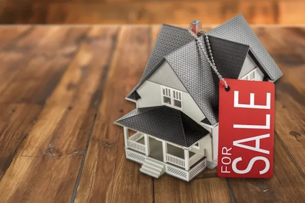 Real Estate 101