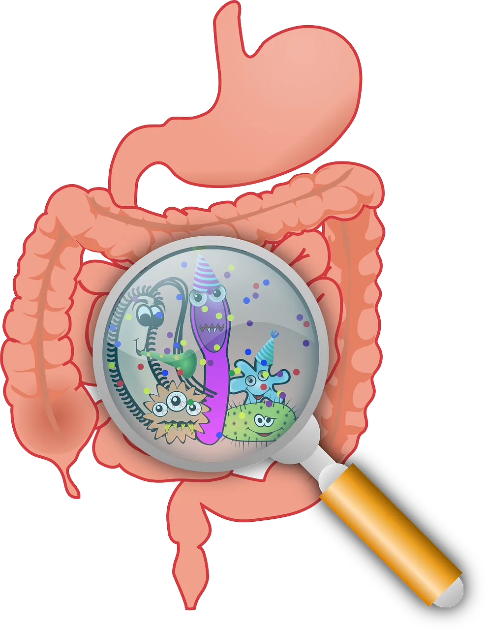 Gut Healt 101