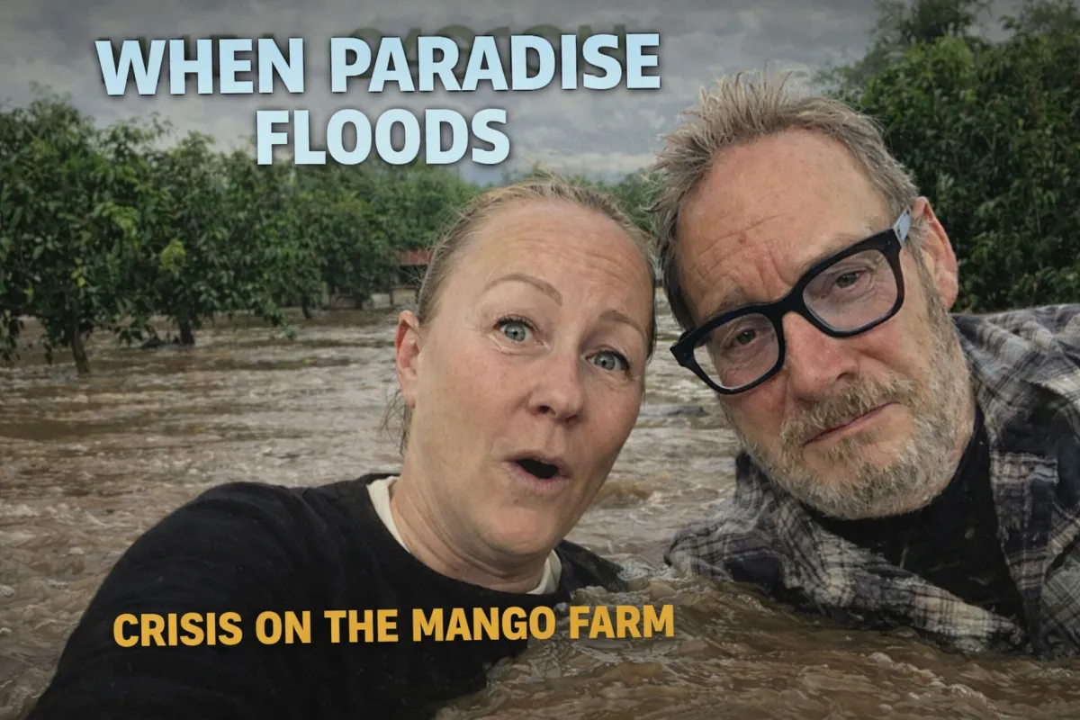 Når mangofarmen tester ægteskabet