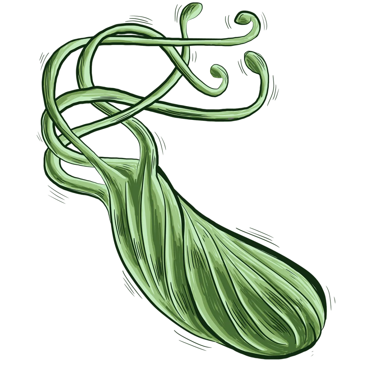 Har vi fået H. pylori helt galt i halsen?