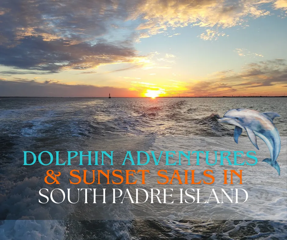 Dolphin Adventures & Sunset Sails in South Padre Island