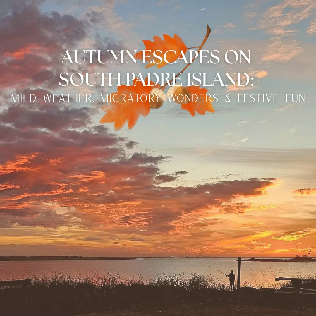 Autumn Escapes on South Padre Island: Mild Weather, Migratory Wonders & Festive Fun