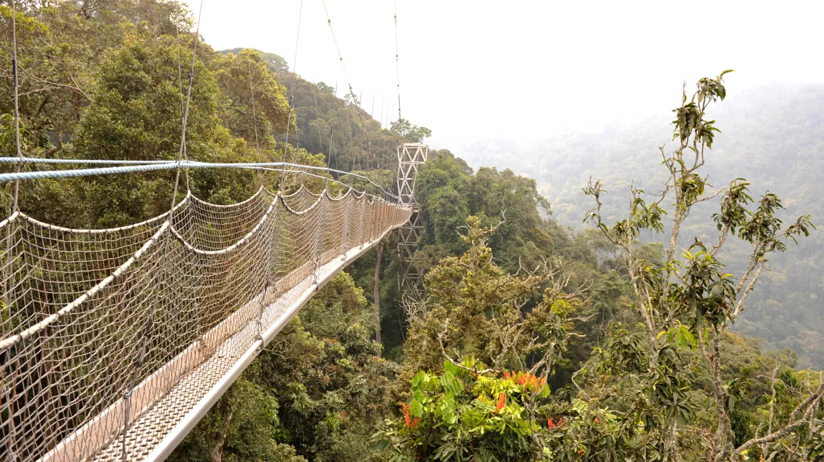 Rwanda: Where Culture, Conservation & Luxury Converge