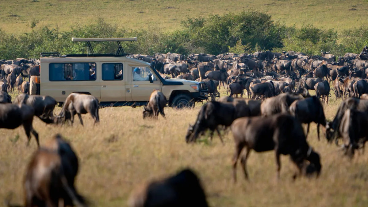 Tanzania: From Safari Icons to Seaside Dreams
