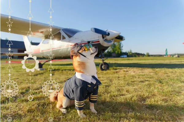 # 9 You're Not the Plane - You're the Pilot