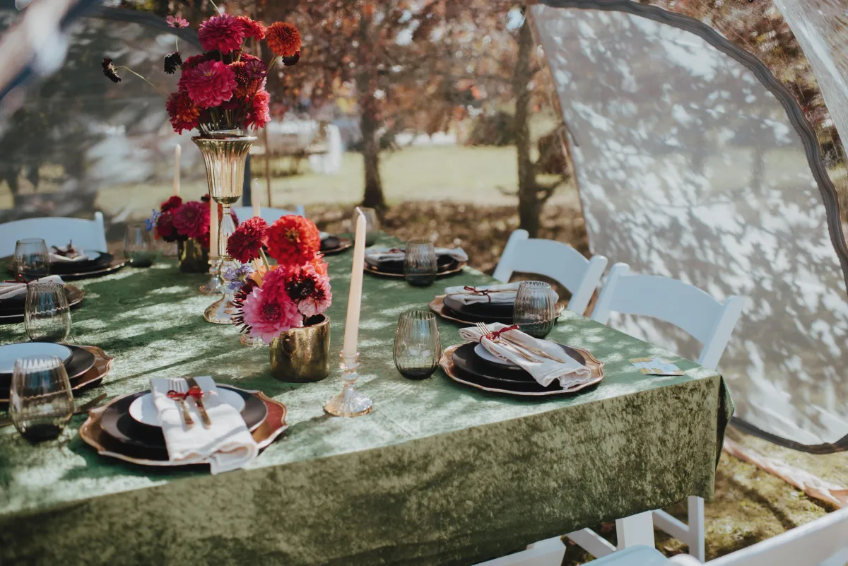 dome picnic tent furnished for wedding picnic