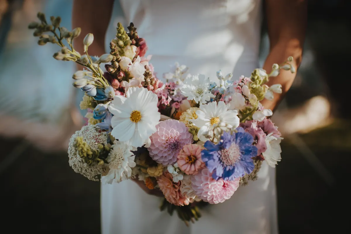 Questions to ask your Wedding Team
