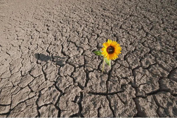 Adversity is our Friend