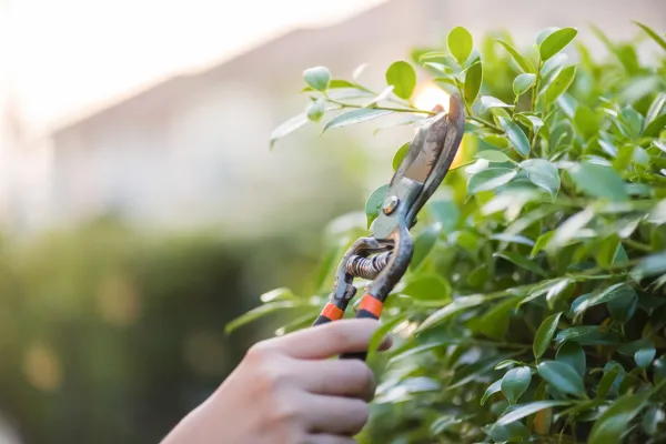 You Deserve Not to Settle