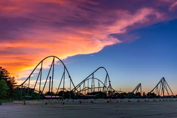 Cash Roller Coaster TikTok