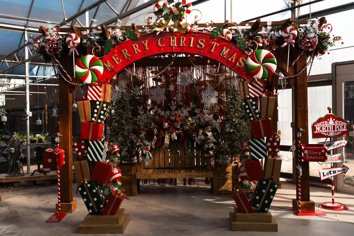 Alldredge Gardens Plant Nursery Midland TX