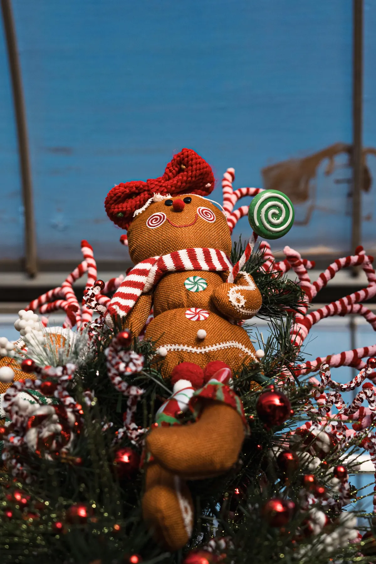 Alldredge Gardens Plant Nursery Midland TX