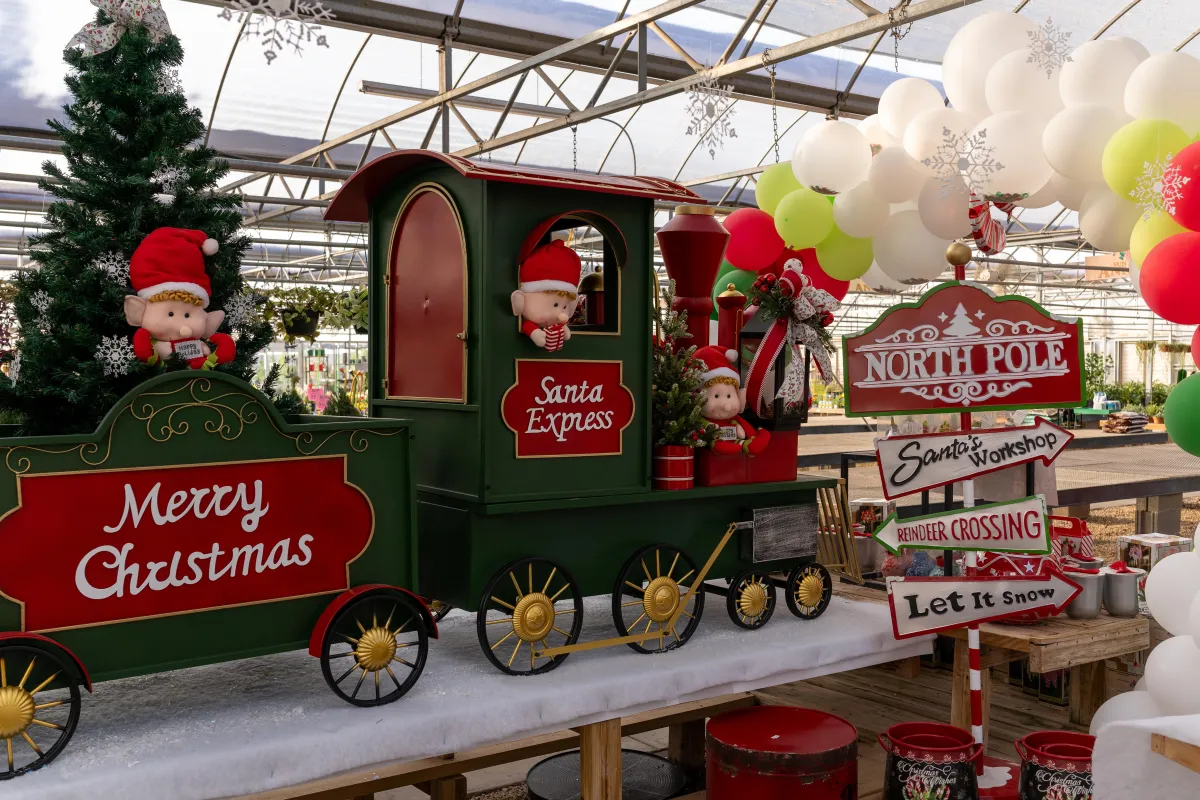 Alldredge Gardens Plant Nursery Midland TX