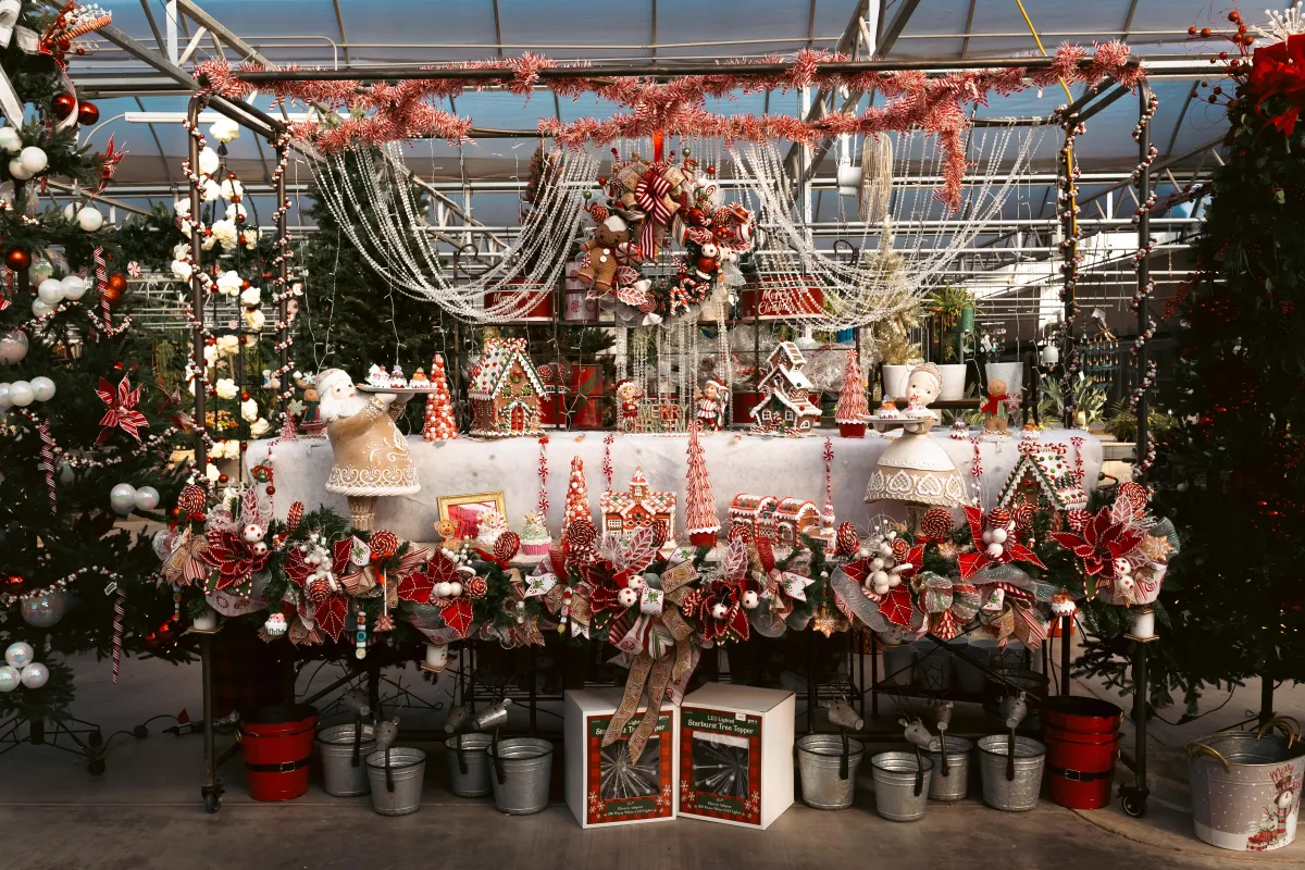 Alldredge Gardens Plant Nursery Midland TX