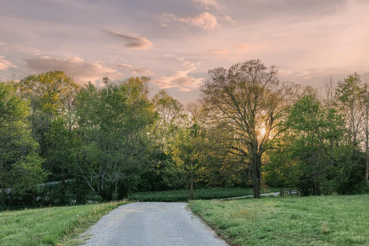 The Boubon Trail awaits!