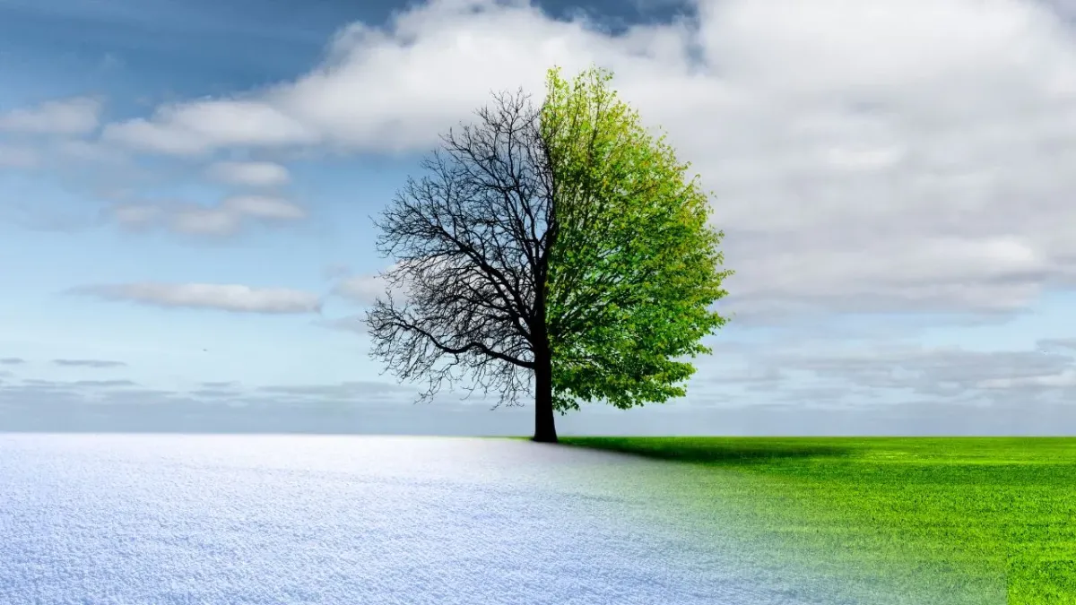 Spring Into Transformation: Why Mindfulness Isn’t Just Some Zen Shit