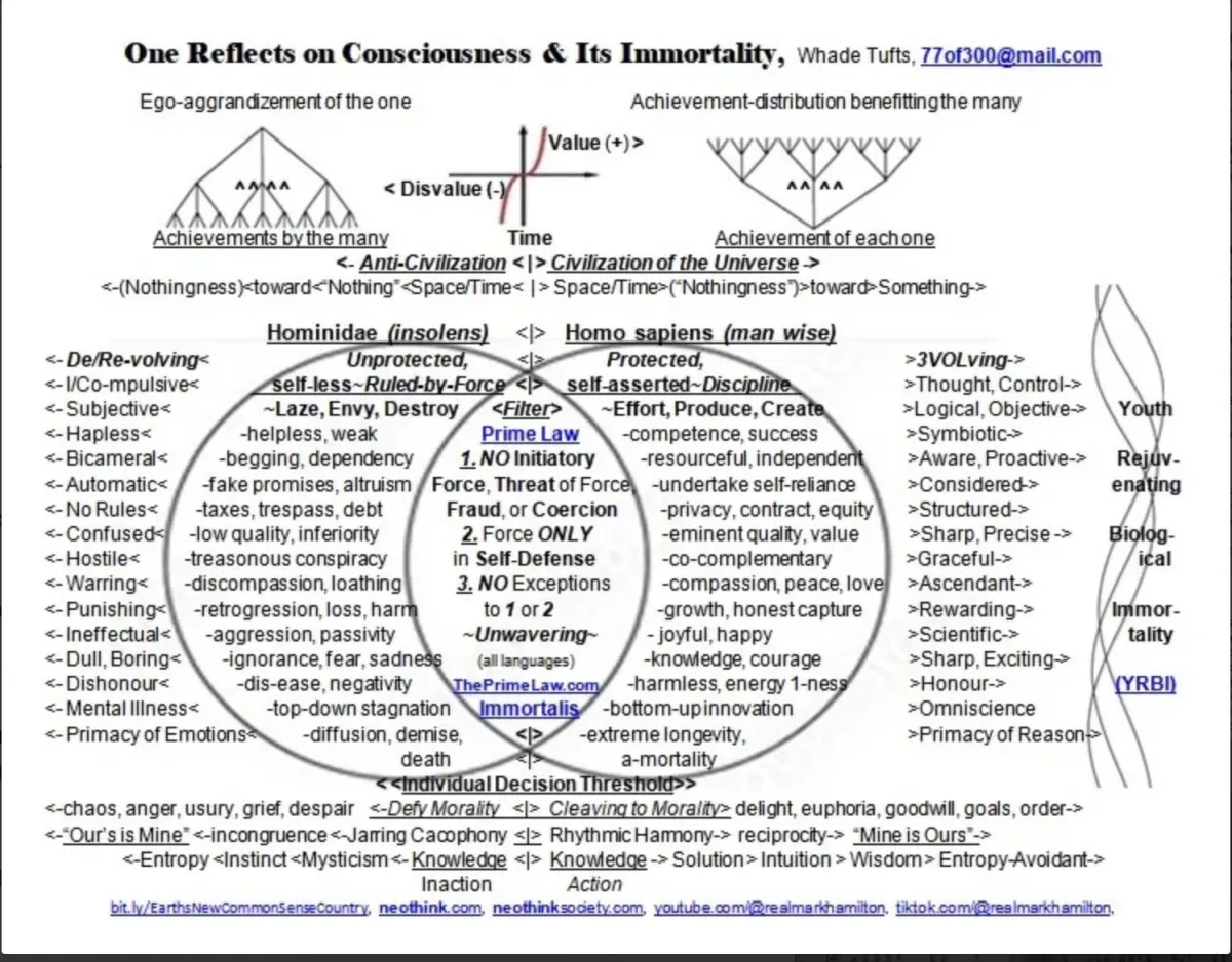 One Reflects on Consciousness And It's Immortality