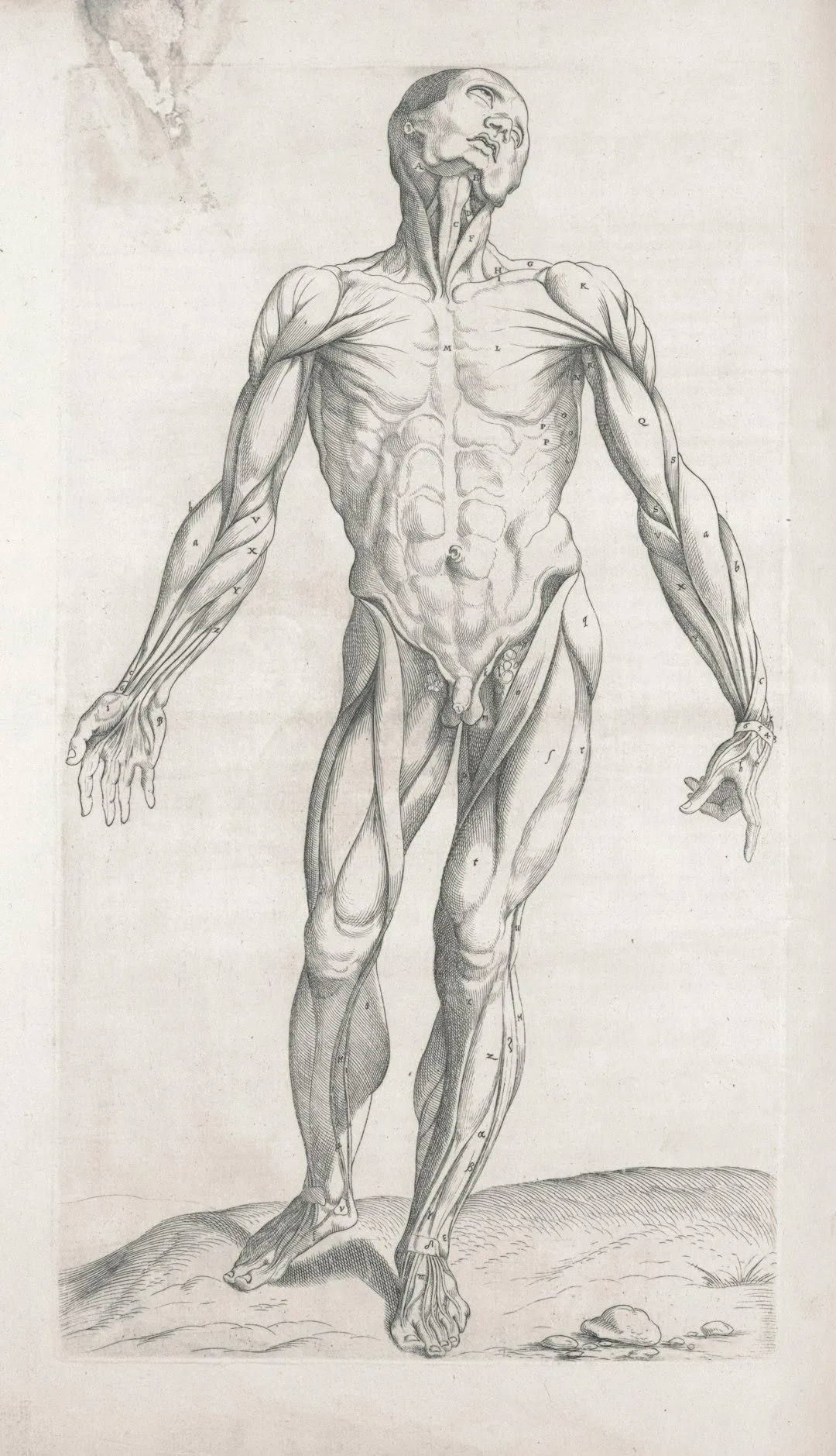 The Oxytocin and Serotonin–Dopamine Balance Revolution