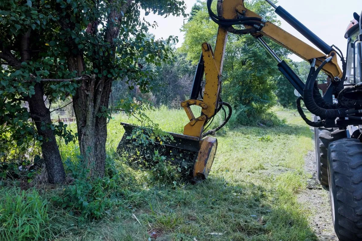 clearing brush