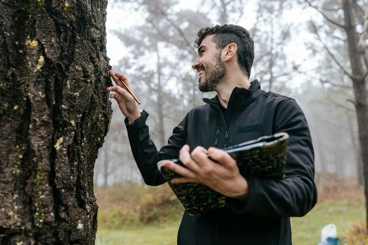 tree health assessment