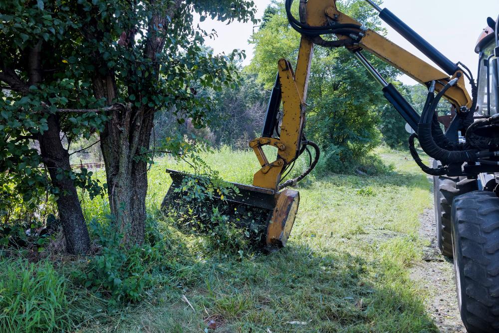 Land Clearing