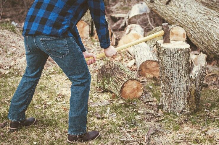 DIY Tree Removal