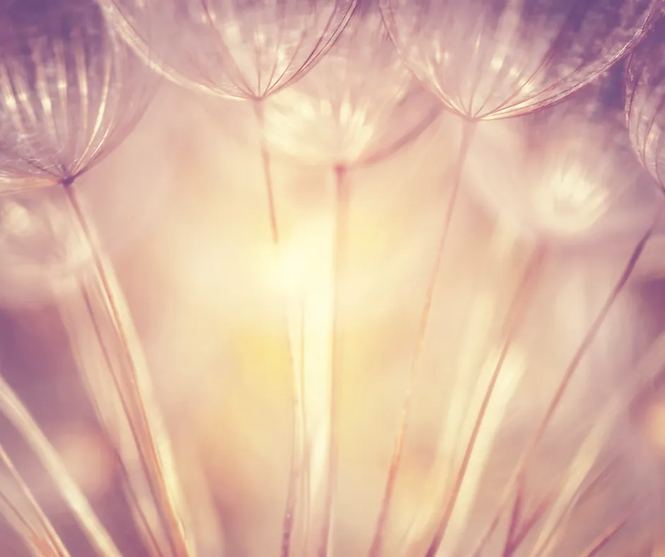 The Healing Rhythm: Finding Peace Through Breath